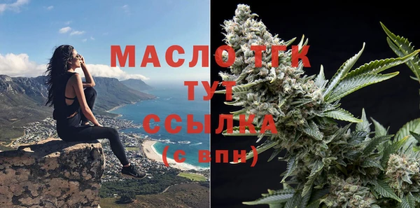 тгк Пересвет