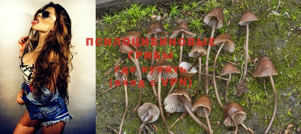 PSILOCYBIN Покровск