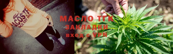 тгк Пересвет