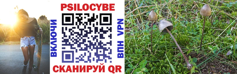 Псилоцибиновые грибы Psilocybine cubensis  Котельники 