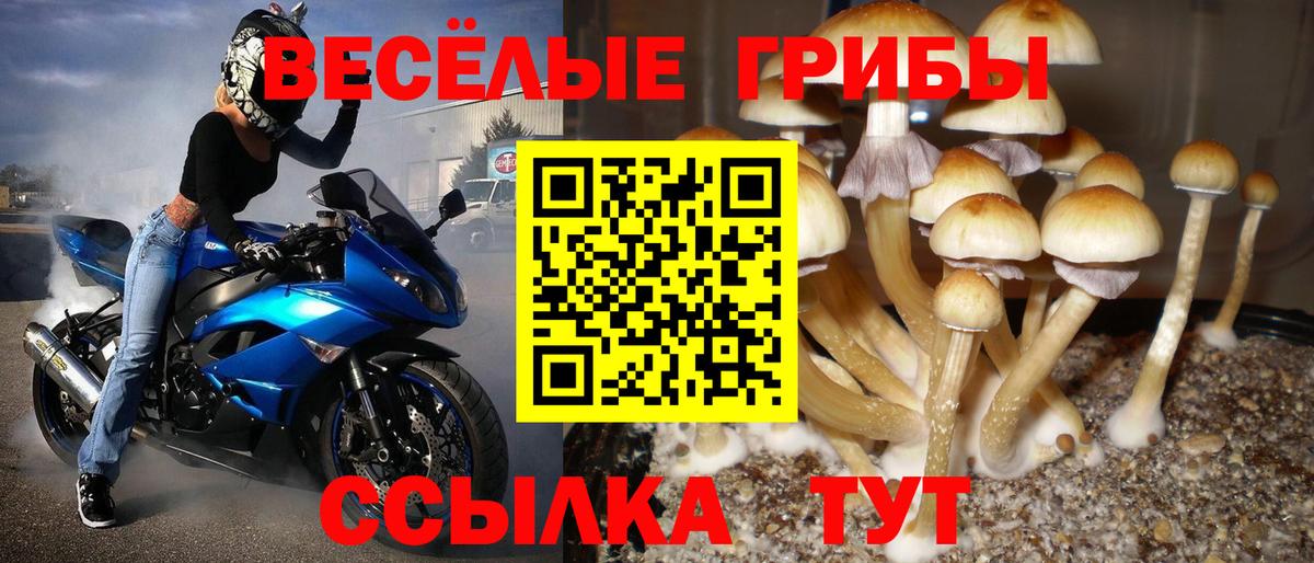 Котельники  Галлюциногенные грибы прущие грибы  Вход с VPN 