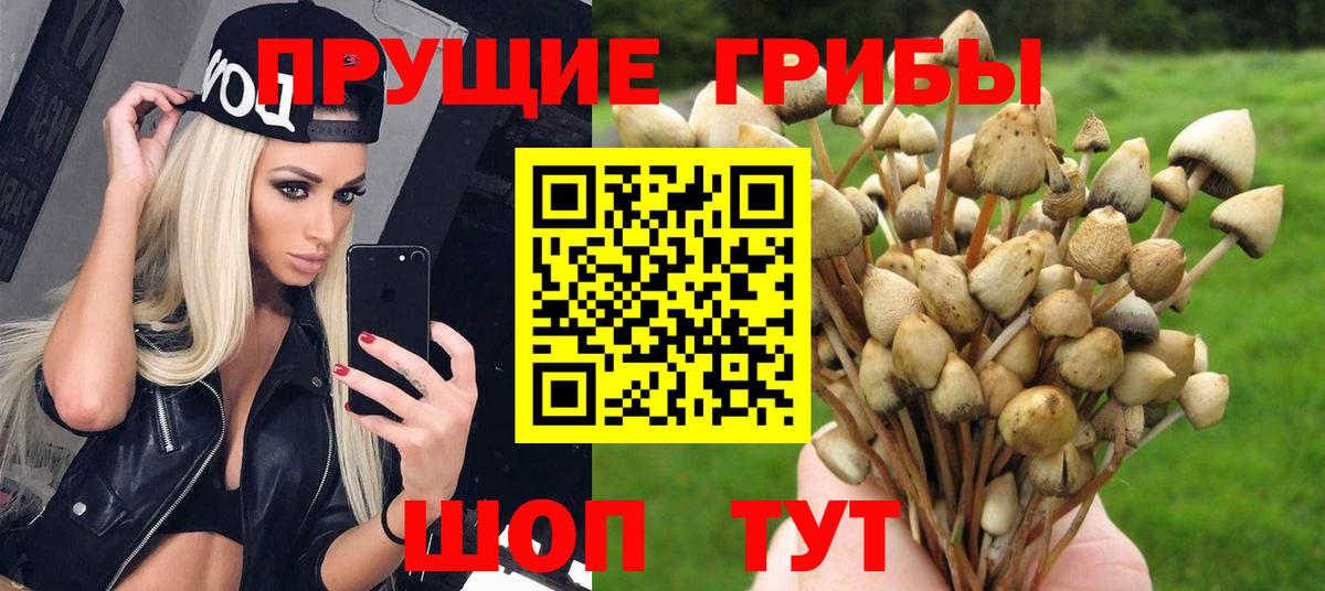 Псилоцибиновые грибы мухоморы  Котельники 