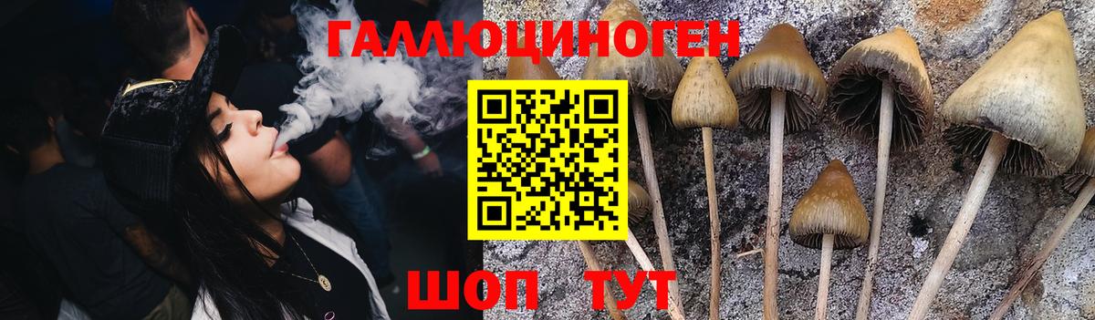 Галлюциногенные грибы GOLDEN TEACHER Котельники
